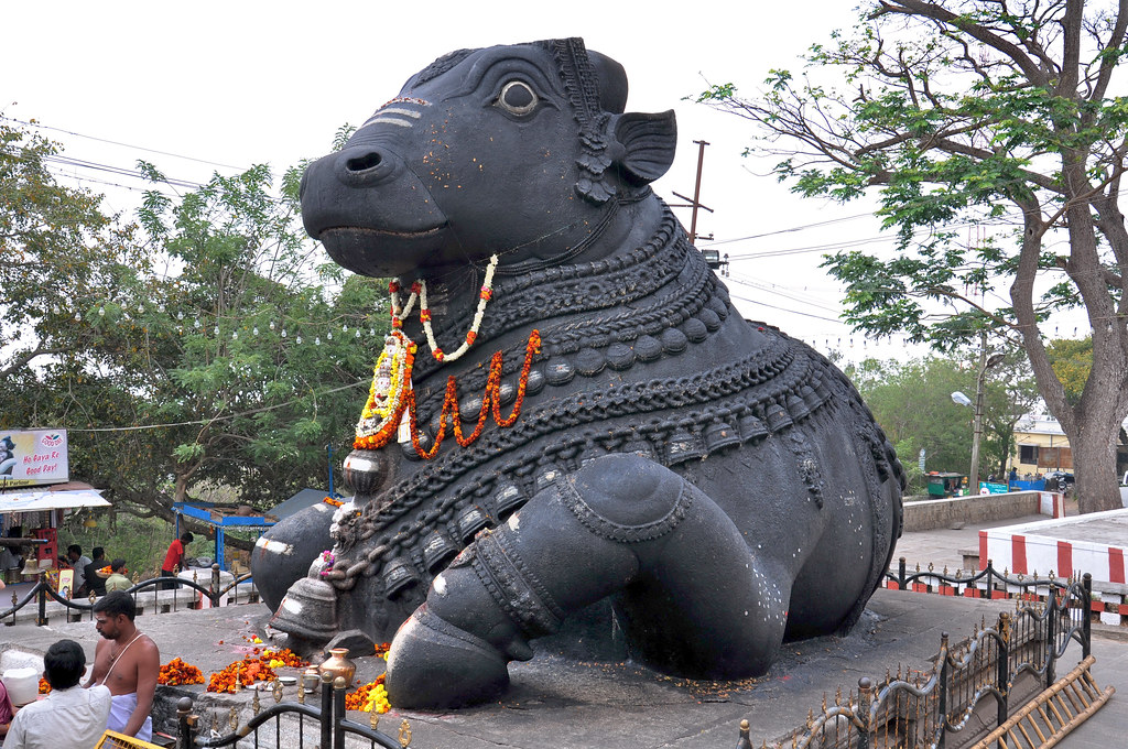 chamundi hill, mysore, nandi