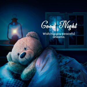 100 Best Good Night Wishes Messages Funky Life