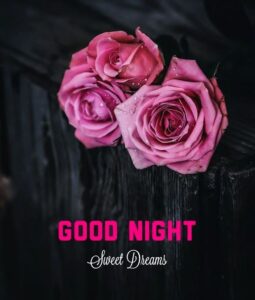 100 Good Night Photo Beautiful Good Night Photo Good Night Photo Download Bedtime Story For Girlfriend