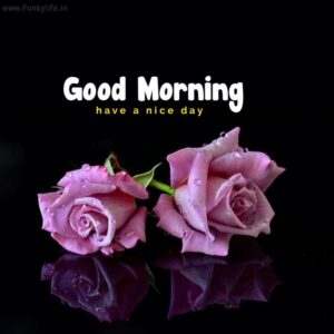 580 New Good Morning Images Photos Wishes 2023