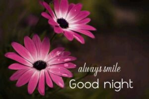 Always Smile Good Night DesiComments com