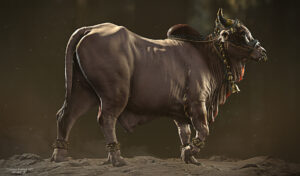 gaurav kumar bull 002