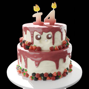 vega 14th birthday cake